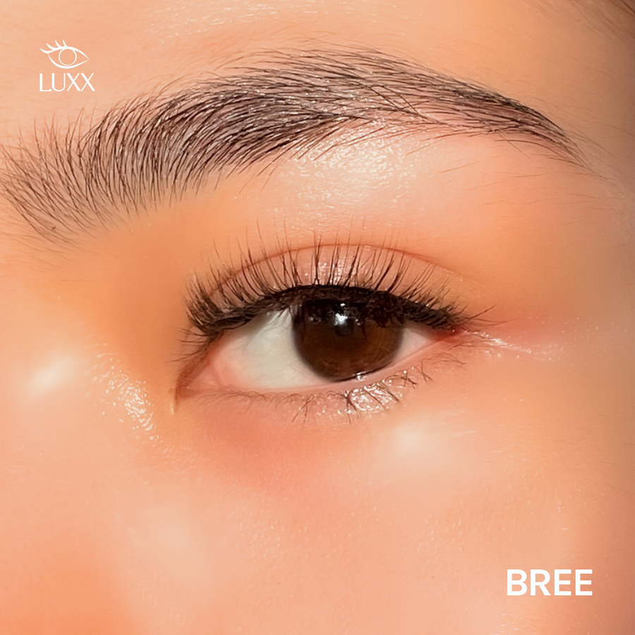 Bree Magnetic Lashes