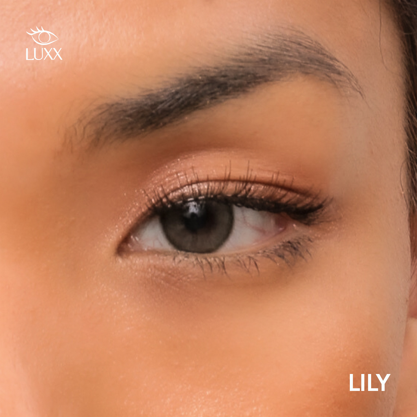 Lily Magnetic Lashes