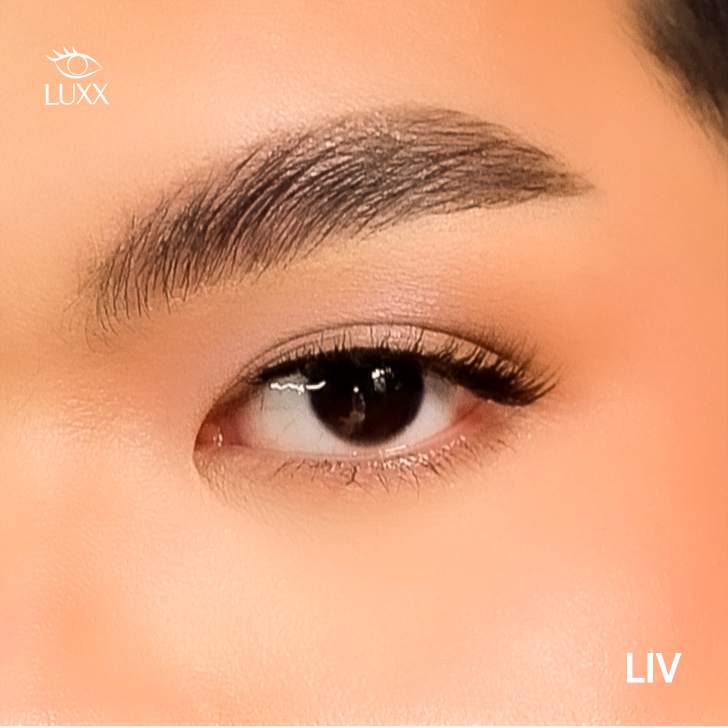 Liv Magnetic Lashes with Free Lash Applicator