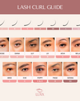 Aeva Magnetic Lashes