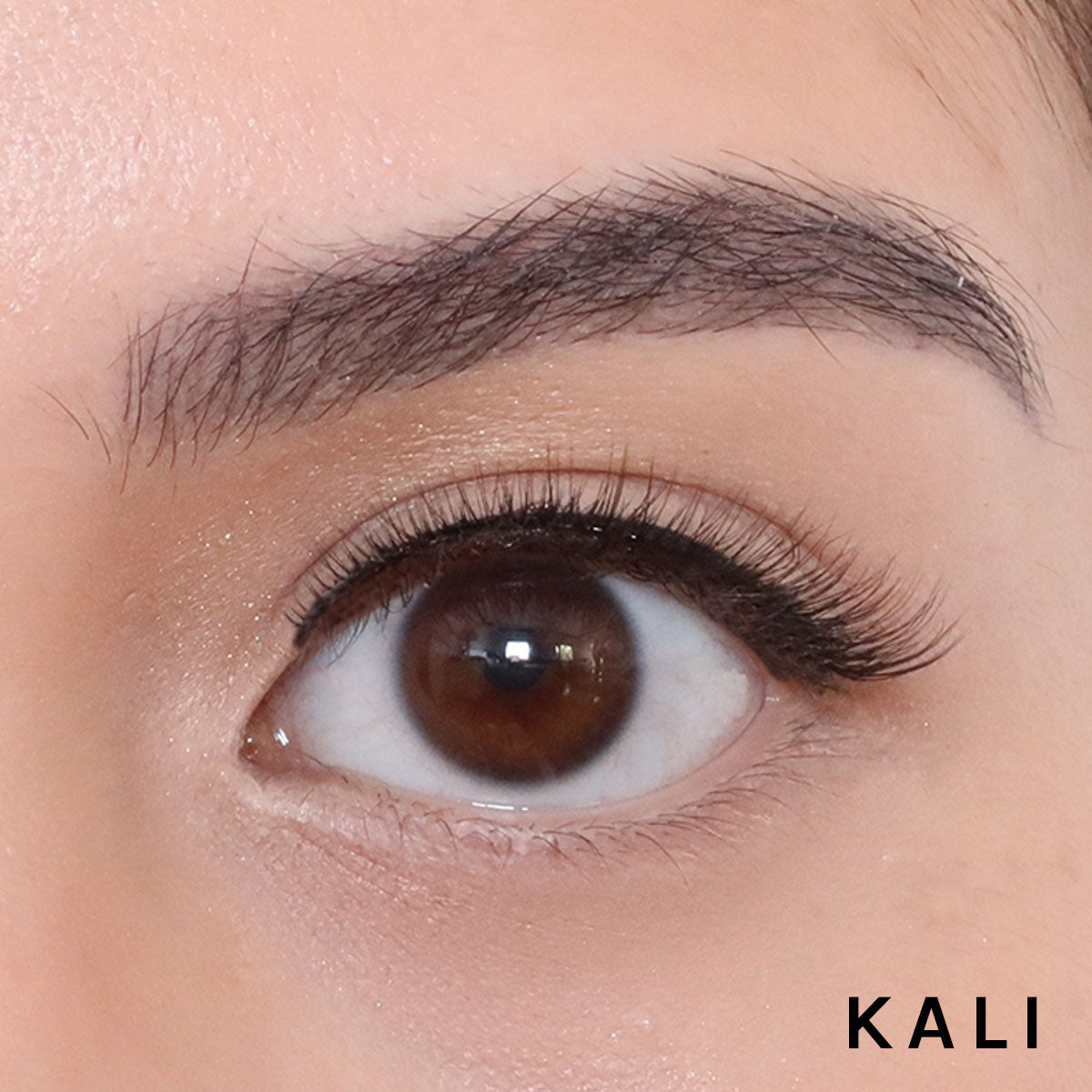 Kali Liner and Lashes Bundle