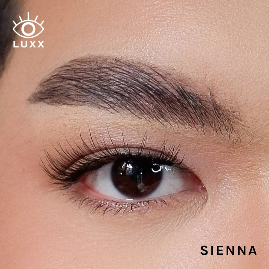 Sienna Magnetic Lashes
