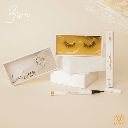 Ziva Liner and Lashes Bundle